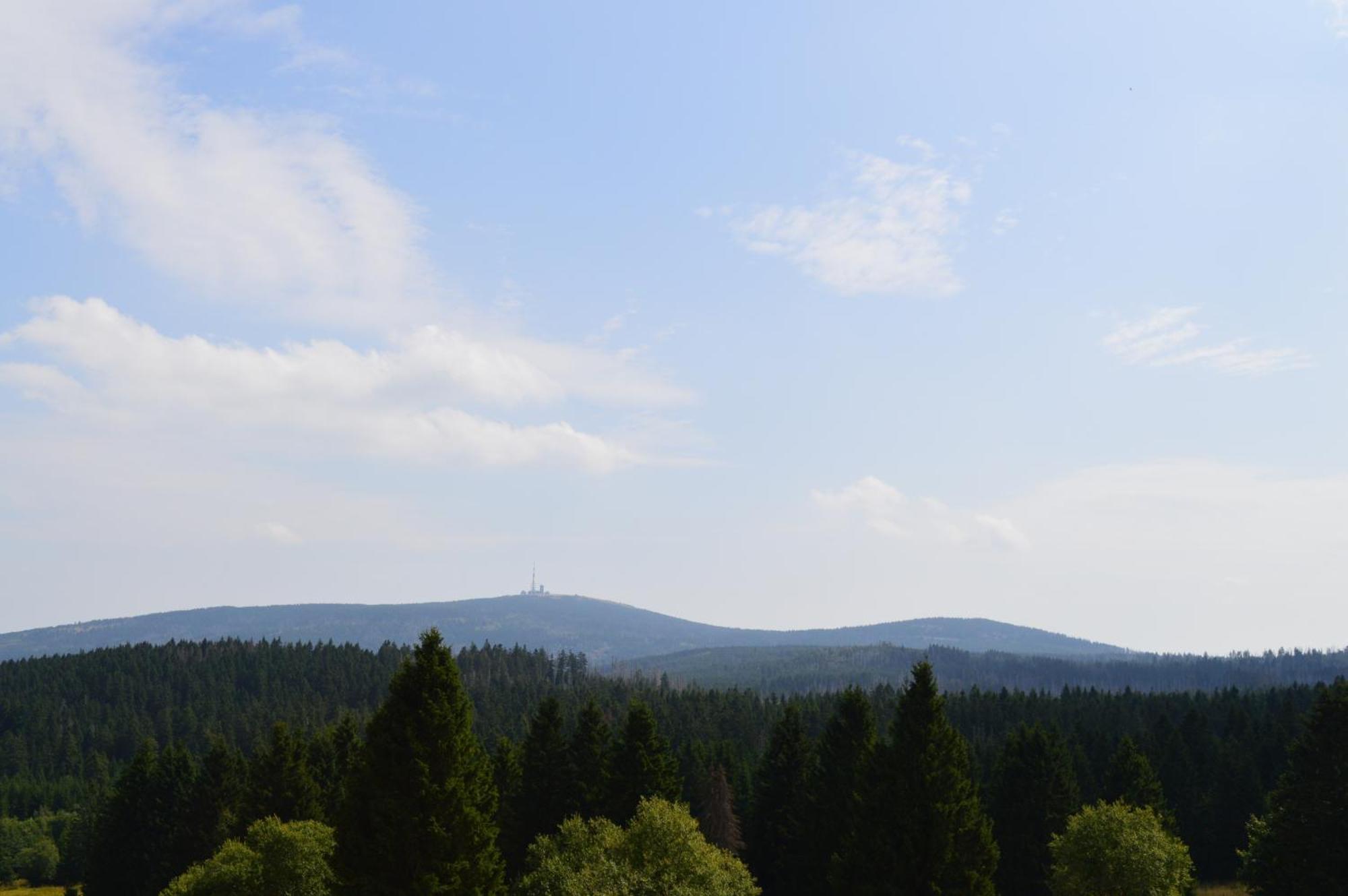 Вилла Bergtraum Braunlage Im Harz, 17 Gaeste, Sauna, Pool Экстерьер фото