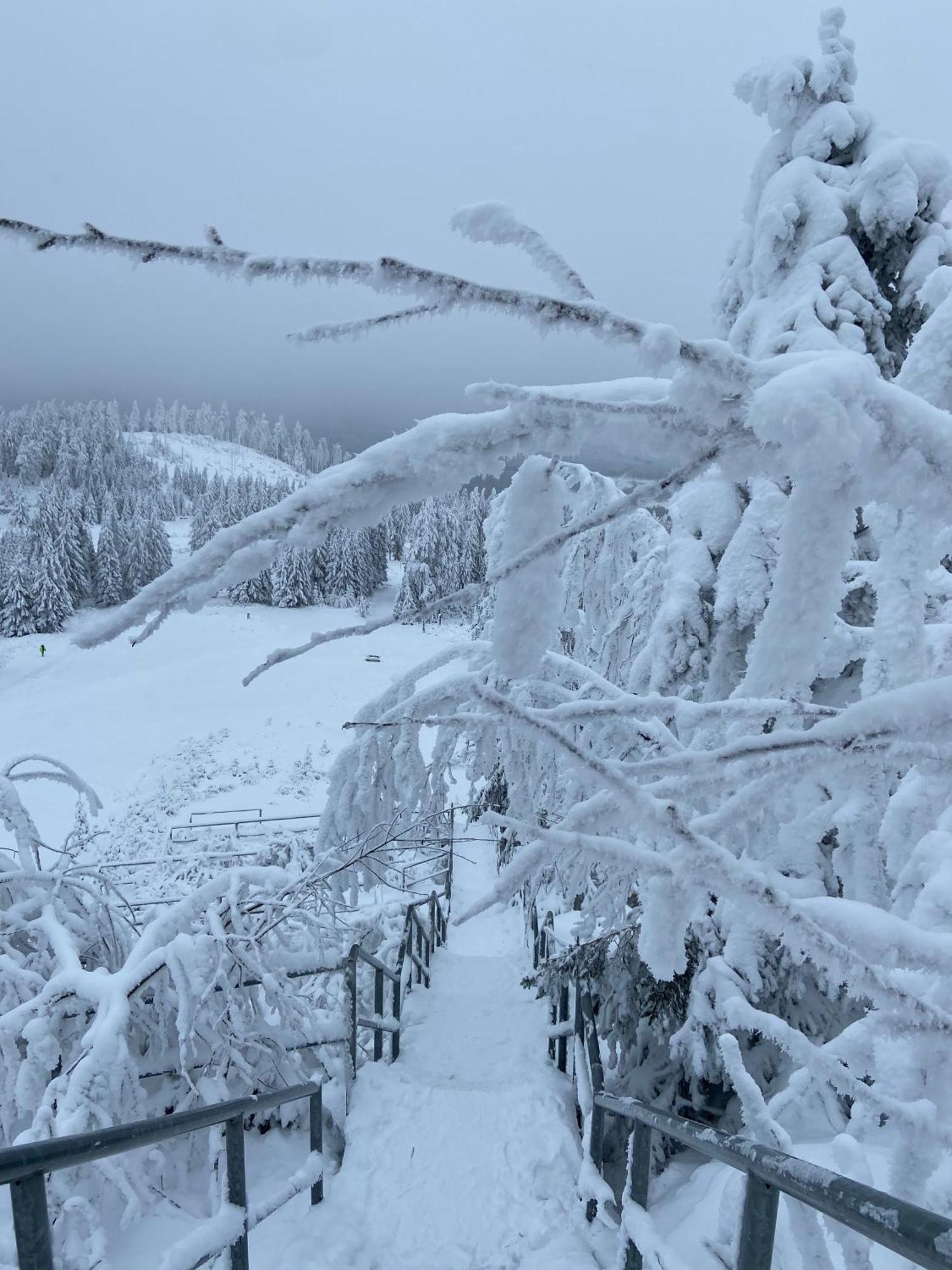 Вилла Bergtraum Braunlage Im Harz, 17 Gaeste, Sauna, Pool Экстерьер фото