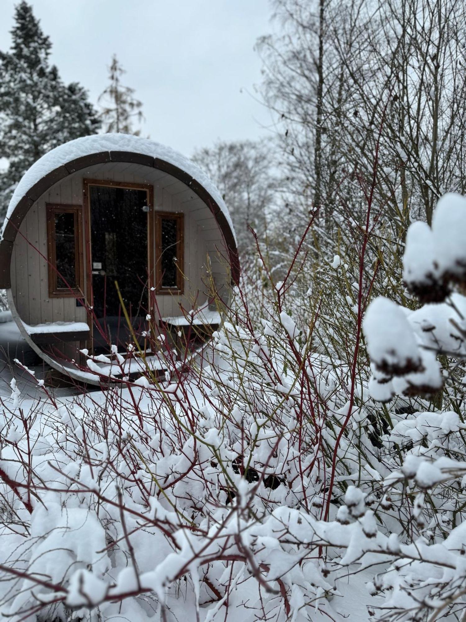 Вилла Bergtraum Braunlage Im Harz, 17 Gaeste, Sauna, Pool Экстерьер фото