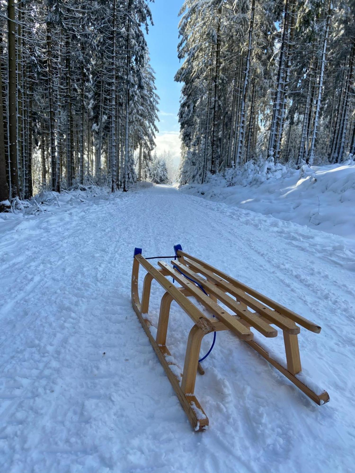 Вилла Bergtraum Braunlage Im Harz, 17 Gaeste, Sauna, Pool Экстерьер фото
